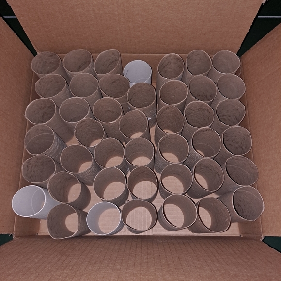 Art 5 Cardboard Craft Tube Roll Project Art Toilet Paper Rolls Poshmark